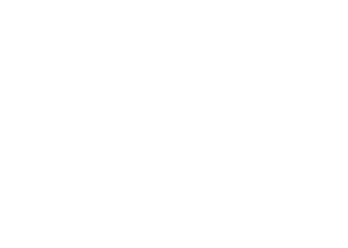 Logo Nerf